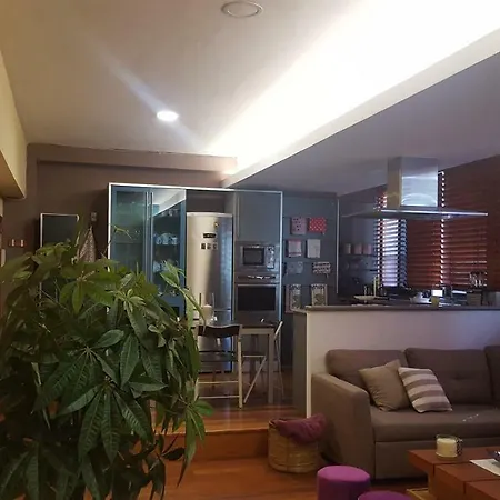 Cozy Loft Fully Equipped Apartment